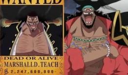 黑胡子最新爆料视频网站,视频网站背后的惊人真相